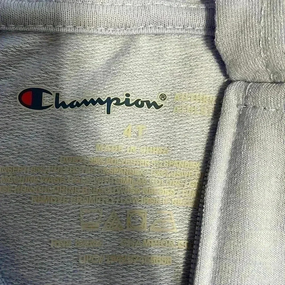 Purple Champion hoodie size 4T - Picture 3 of 3